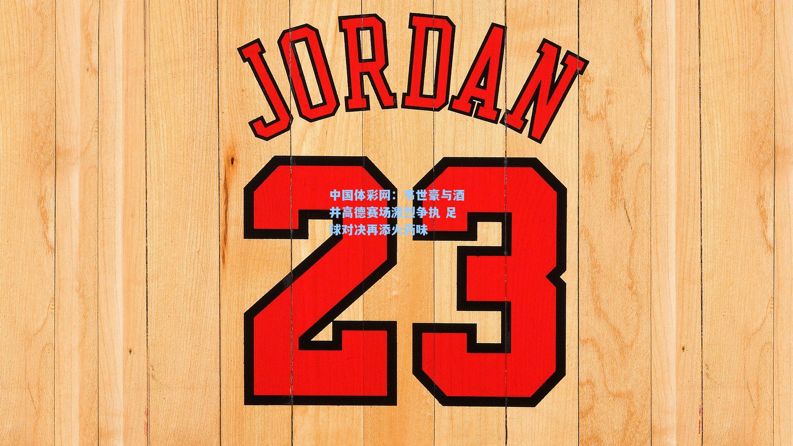 韦世豪与酒井高德赛场激烈争执 足球对决再添火药味